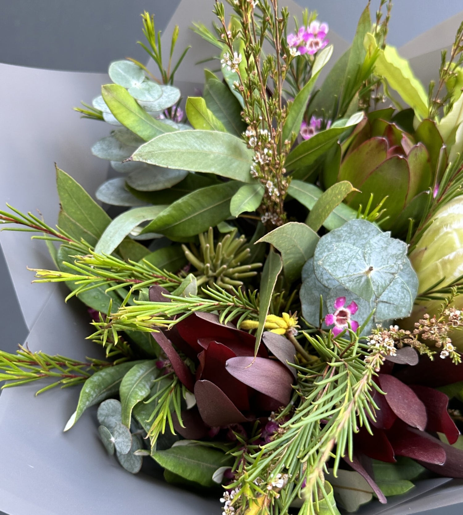 RAMO PROTEA ICE