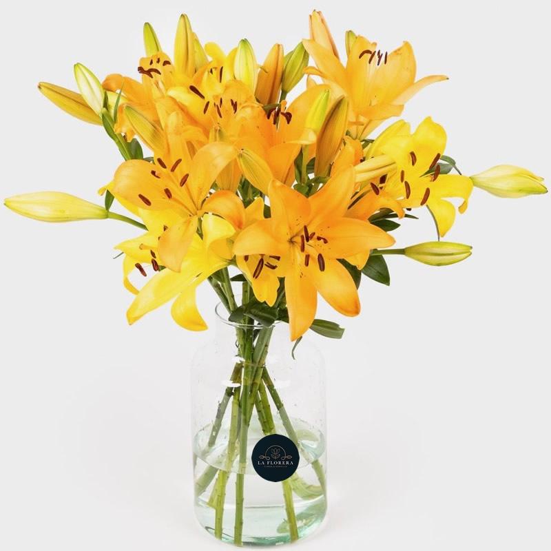 FLORERO LILIUMS AMARILLOS / 10 UNIDADES