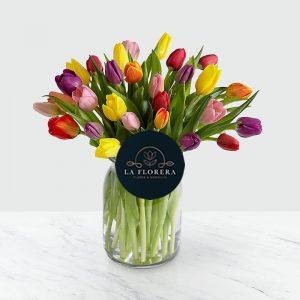 Tulipanes - La Florera
